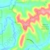 Carte topographique Wildcat Mountain, altitude, relief