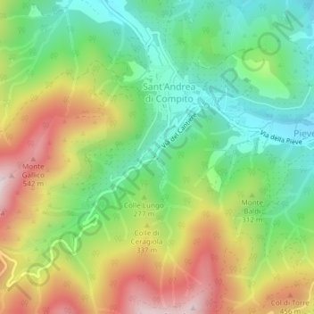 Carte topographique Camellietum Compitese, altitude, relief