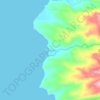 Carte topographique Binuangan, altitude, relief