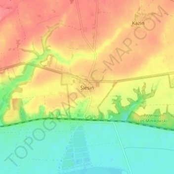 Carte topographique Ślesin, altitude, relief