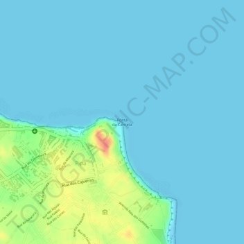 Carte topographique Ponta da Cancela, altitude, relief