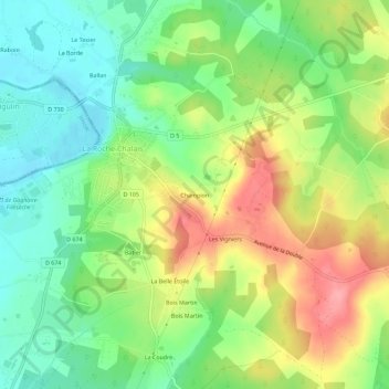 Carte topographique Champion, altitude, relief