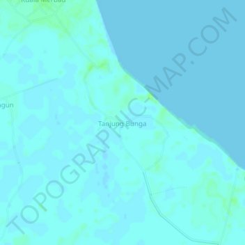 Carte topographique Tanjung Bunga, altitude, relief