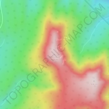 Carte topographique Mont Lyall, altitude, relief