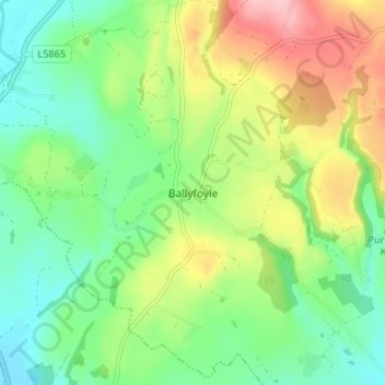 Carte topographique Ballyfoyle, altitude, relief