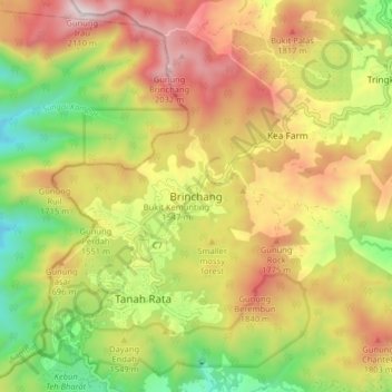 Carte topographique Brinchang, altitude, relief