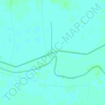 Carte topographique Pancur, altitude, relief