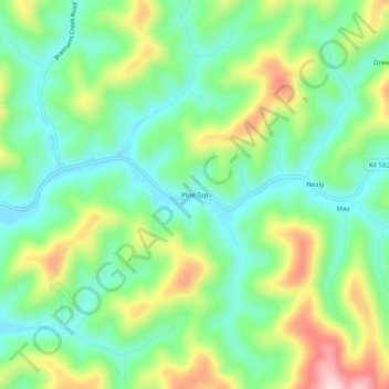 Carte topographique Pine Top, altitude, relief