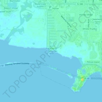 Carte topographique The Reserve of Old Tampa Bay, altitude, relief
