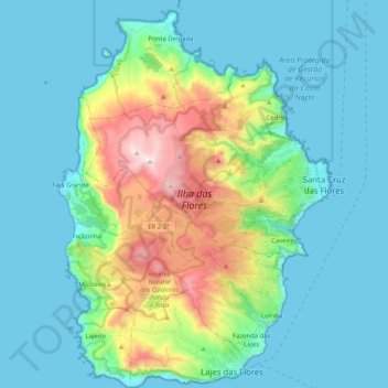Carte topographique Ilha das Flores, altitude, relief