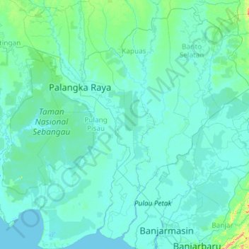Carte topographique Pulang Pisau, altitude, relief