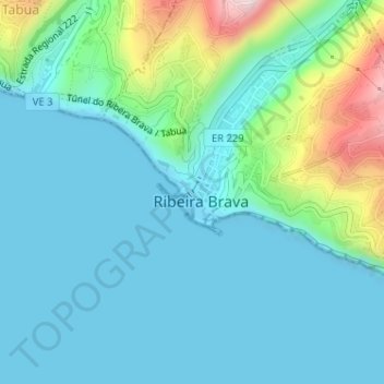 Carte topographique Ribeira Brava, altitude, relief